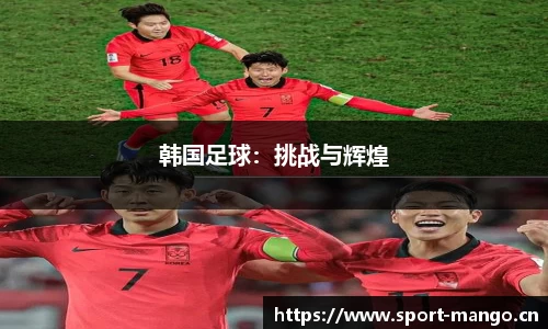 韩国足球：挑战与辉煌
