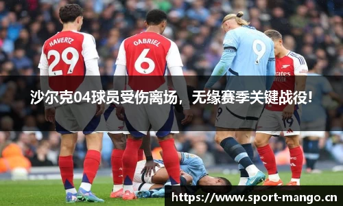 沙尔克04球员受伤离场，无缘赛季关键战役!