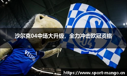 沙尔克04中场大升级，全力冲击欧冠资格