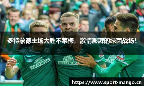 多特蒙德主场大胜不莱梅，激情澎湃的绿茵战场！